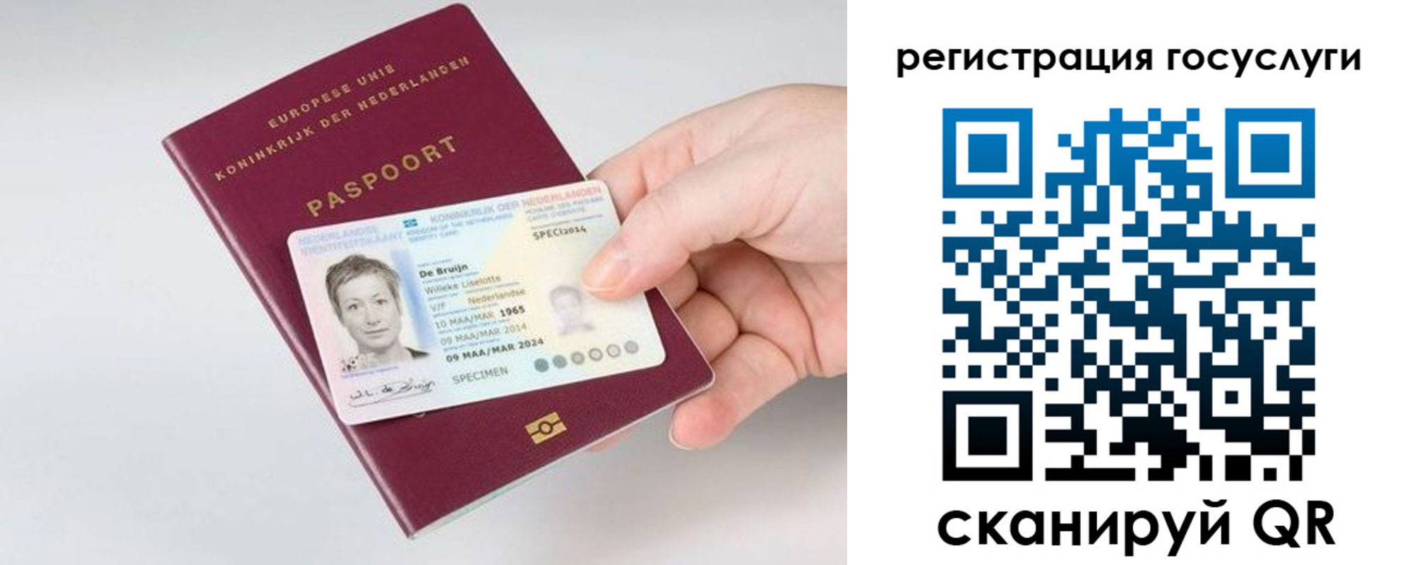 регистрация для дет. сада в Снежногорске
