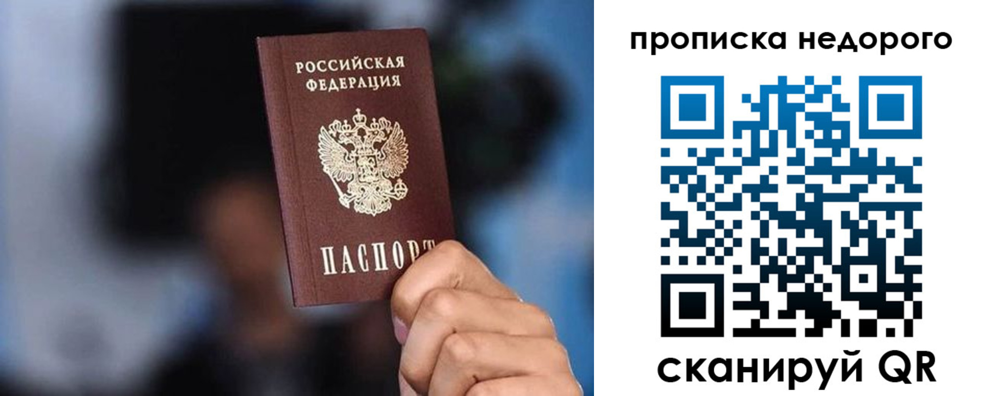 временная регистрация поиск в Снежногорске